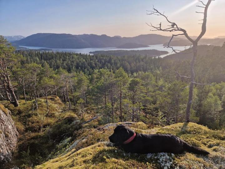 Gjestehus Pa Bondegard, Med Batutleie Namsos Exterior photo